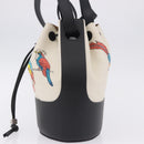 LOEWE Paula's Ibiza Collaboration Bag Canvas 2way Ivory Silver Auth 202301M-3