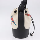 LOEWE Paula's Ibiza Collaboration Bag Canvas 2way Ivory Silver Auth 202301M-4