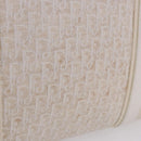 Christian Dior Trotter Canvas Hand Bag White Silver Auth 202957A-2