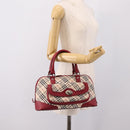 BURBERRY Nova Check Hand Bag Canvas Beige Silver Auth 203239A-22