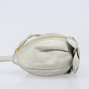 CELINE Pouch Leather Silver Gold Auth 203624A-5