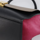 CELINE Trapeze Hand Bag Leather 2way Beige Gold Auth 203653-14
