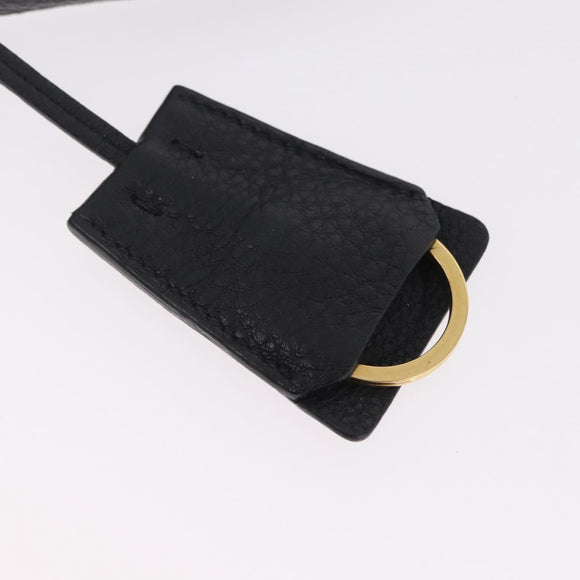 PRADA Tote Bag Vittero Dino Leather Black Gold Auth 203881V