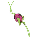 LOEWE Dragon Fruit Charm Leather Pink Gold Auth 204060M-1