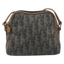 Christian Dior Trotter Canvas Shoulder Bag PVC Green Gold Auth 204234-13