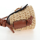 CELINE Mini Shoulder Pouch Raffia 2way Beige Gold Auth 204431M-3