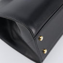 CELINE Horse Carriage Hand Bag Leather Black Gold Tone Auth 204622V-16