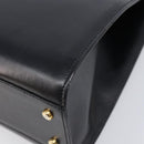 CELINE Horse Carriage Hand Bag Leather Black Gold Tone Auth 204622V-17