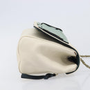 Chloe June Chain Shoulder Bag Leather White Gold Tone Auth 204652A-4