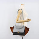 CELINE Trapeze Hand Bag Leather 2way Light Blue Gold Auth 204832V-30
