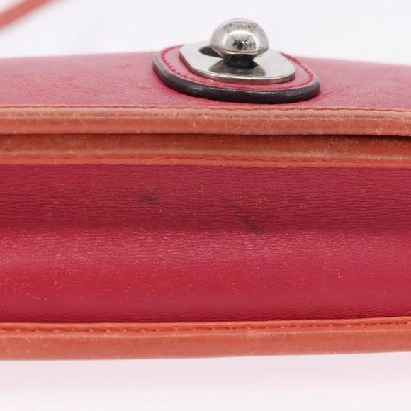 LOEWE Shoulder Bag Leather Red Gold Auth 204848