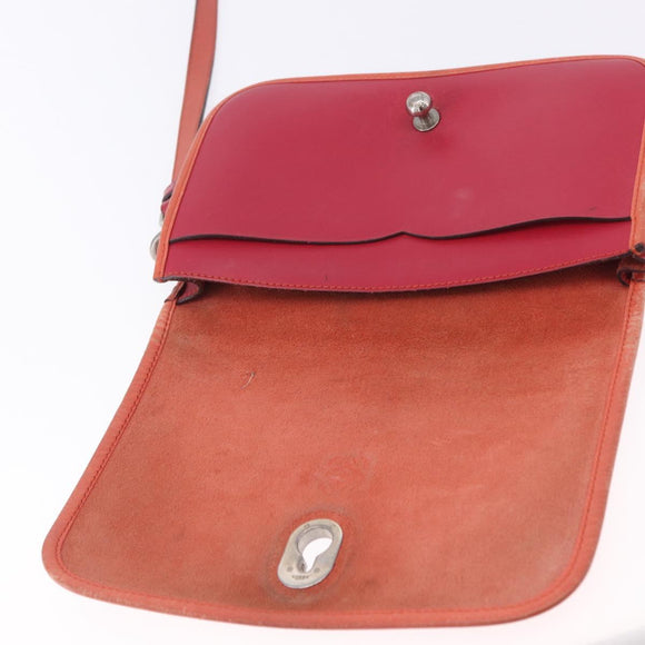 LOEWE Shoulder Bag Leather Red Gold Auth 204848