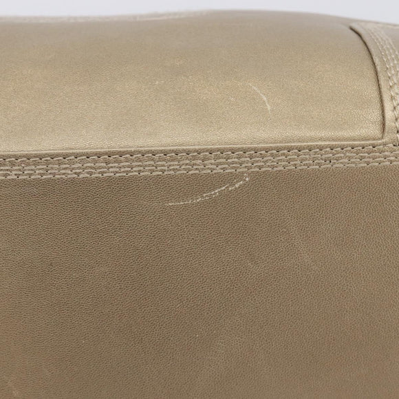 LOEWE Amazona 35 Hand Bag Leather Gold Auth 204893A