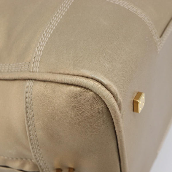 LOEWE Amazona 35 Hand Bag Leather Gold Auth 204893A
