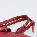 BOTTEGA VENETA INTRECCIATO Hand Bag Leather Pink Gold Auth 205138-14