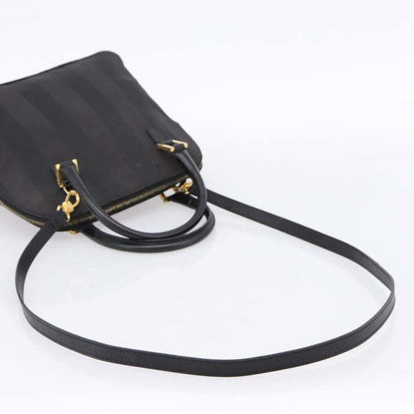 FENDI Pecan Canvas Hand Bag 2way Black Gold Auth 205145