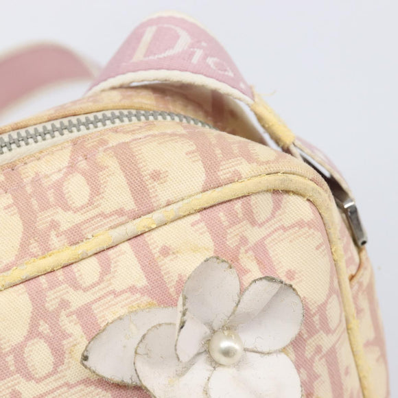 Christian Dior Trotter Canvas Shoulder Bag PVC Pink Silver Auth 205193