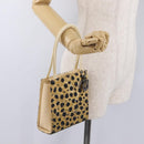 Christian Dior Hand Bag Canvas Beige Silver Auth 205405V-23
