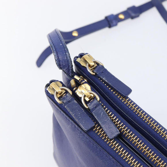 CELINE Trio Shoulder Bag Leather Blue Gold Auth 205438