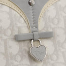 Christian Dior Romantic Accessory Pouch PVC Leather White Silver Auth 205858V-20