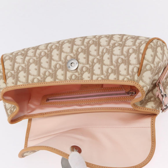 Christian Dior Trotter Canvas Romantic Chain Bag PVC Ivory Silver Auth 206260SAM