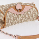 Christian Dior Trotter Canvas Romantic Chain Bag PVC Ivory Silver Auth 206260SAM-6