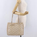 Christian Dior Trotter Canvas Chain Tote Bag PVC Ivory Silver Auth 206261A-32