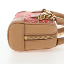 LOEWE Amazona Nano Shoulder Pouch Canvas 2way Beige Gold Auth 206378M-3