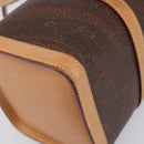 ETRO Hand Bag PVC Canvas Brown Gold Auth 206896-16