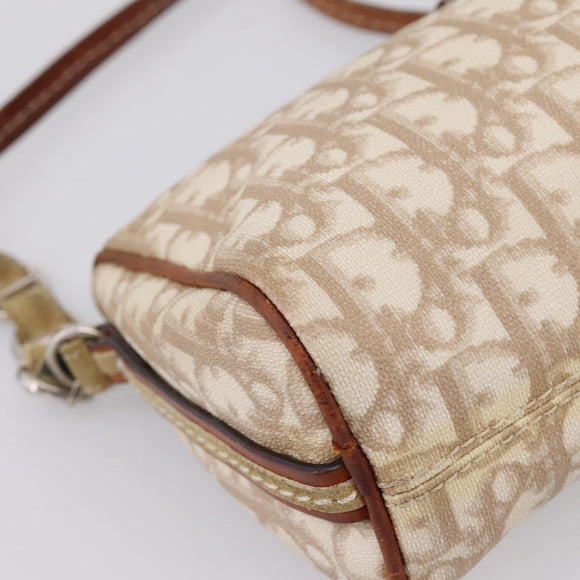 Christian Dior Trotter Canvas Romantic Chain Bag PVC Beige Silver Auth 207013