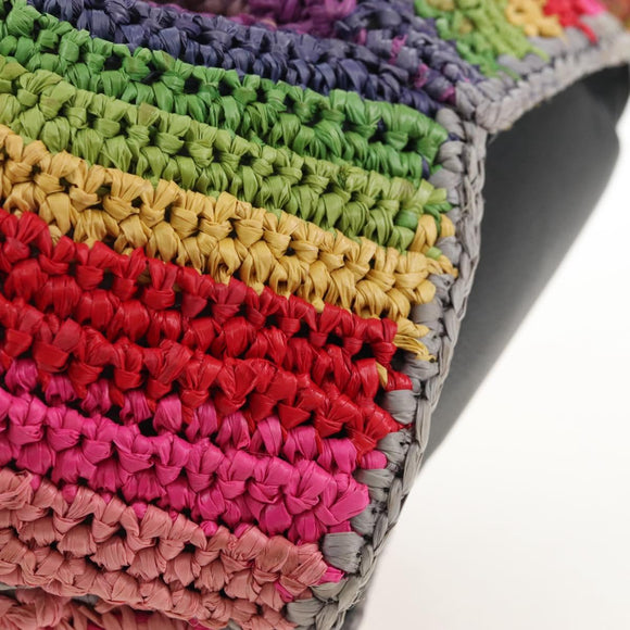 LOEWE Shoulder Bag Raffia Multicolor Silver Auth 207023SAM