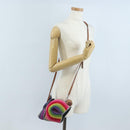 LOEWE Shoulder Bag Raffia Multicolor Silver Auth 207023SAM-23