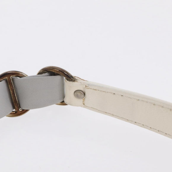 Christian Dior Trotter Canvas Romantic Chain Bag PVC White Silver Auth 207087A