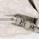 Christian Dior Trotter Canvas Romantic Chain Bag PVC White Silver Auth 207087A-4