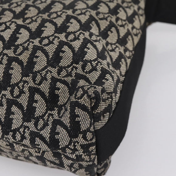 Christian Dior Trotter Canvas Shoulder Bag Gray Silver Auth 207147