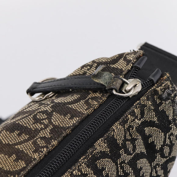 Christian Dior Trotter Canvas Shoulder Bag Gray Silver Auth 207147