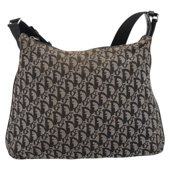 Christian Dior Trotter Canvas Shoulder Bag Gray Silver Auth 207147
