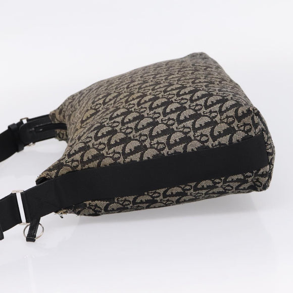 Christian Dior Trotter Canvas Shoulder Bag Gray Silver Auth 207147