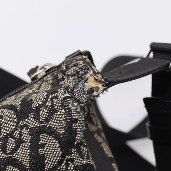 Christian Dior Trotter Canvas Shoulder Bag Gray Silver Auth 207147
