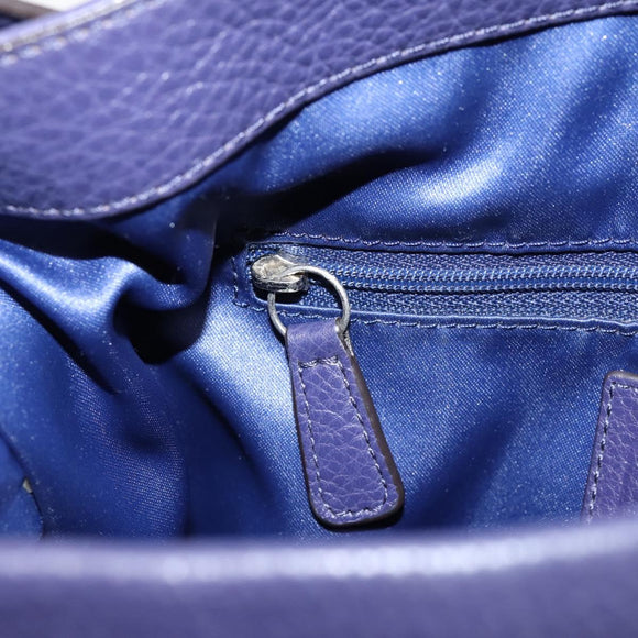 Coach Shoulder Bag Leather Navy Silver Auth 207176A