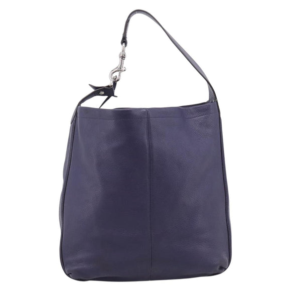 Coach Shoulder Bag Leather Navy Silver Auth 207176A