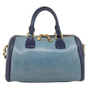 Miu Miu Hand Bag Vitellolux 2way Navy Gold Auth 207618-2