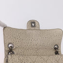 CHANEL Chain Le Marais Shoulder Bag Leather Gold Silver CC Auth 207655SAV-19