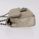 CHANEL Chain Le Marais Shoulder Bag Leather Gold Silver CC Auth 207655SAV-4