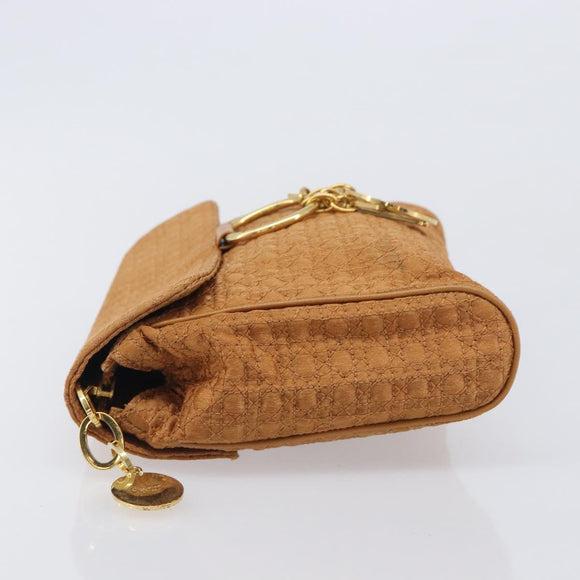 Christian Dior Canage Clutch Bag Nylon Brown Gold Tone Auth 207710