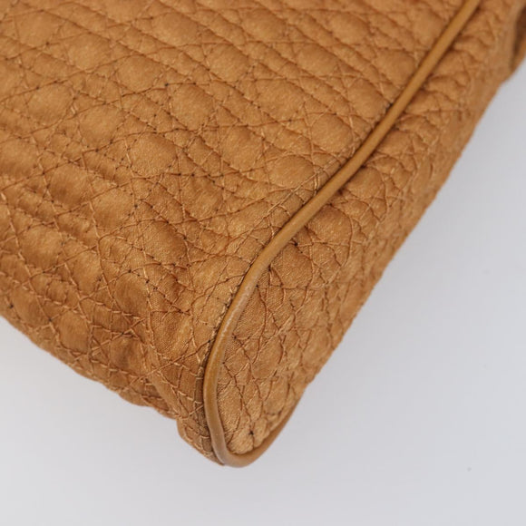 Christian Dior Canage Clutch Bag Nylon Brown Gold Tone Auth 207710