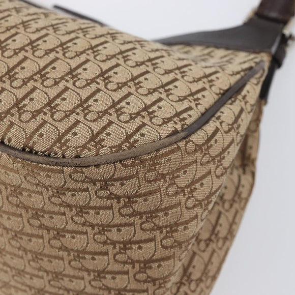 Christian Dior Trotter Canvas Hand Bag Brown Silver Auth 207724V