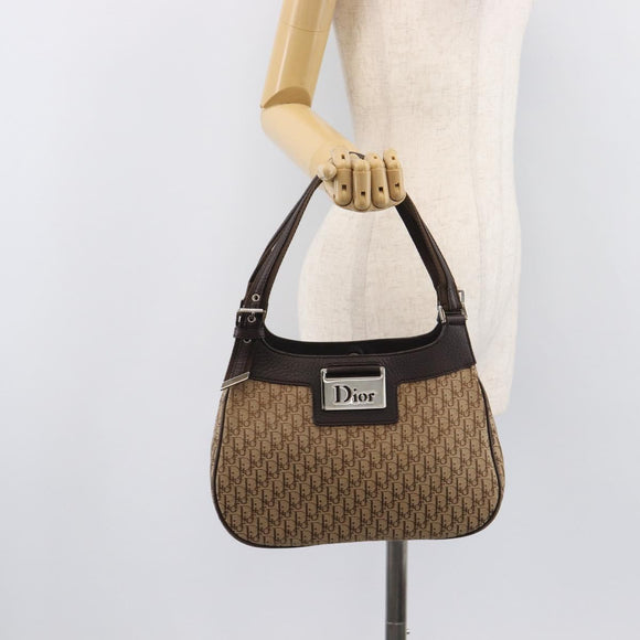 Christian Dior Trotter Canvas Hand Bag Brown Silver Auth 207724V