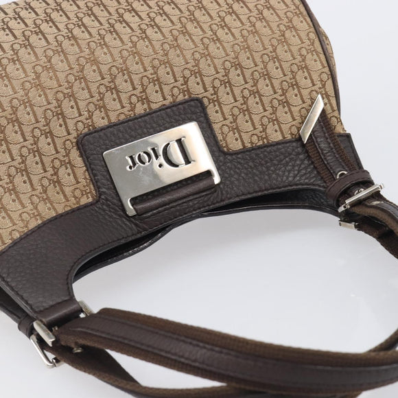 Christian Dior Trotter Canvas Hand Bag Brown Silver Auth 207724V