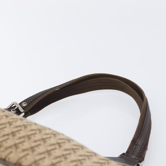 Christian Dior Trotter Canvas Hand Bag Brown Silver Auth 207724V
